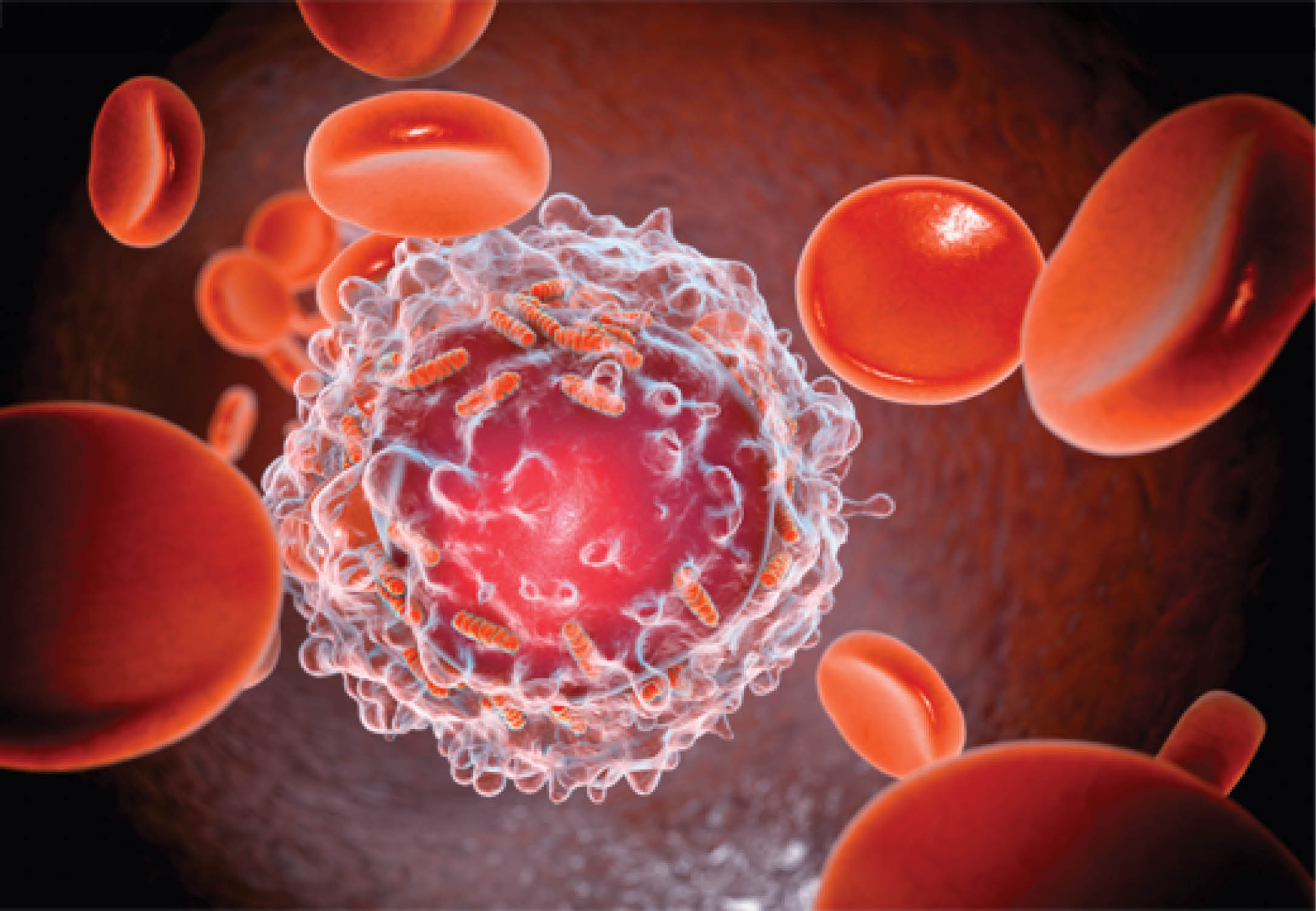 2026 Hematopoietic Stem Cell and Myelodysplastic Syndromes (MDS) Symposium Banner